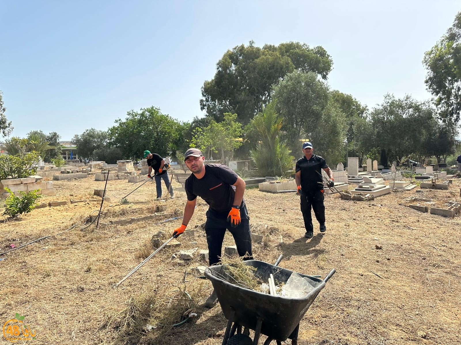 WhatsApp Image 2023-06-17 at 3.39.02 PM (2).jpeg